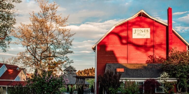 jones farm winery shelton 768x384