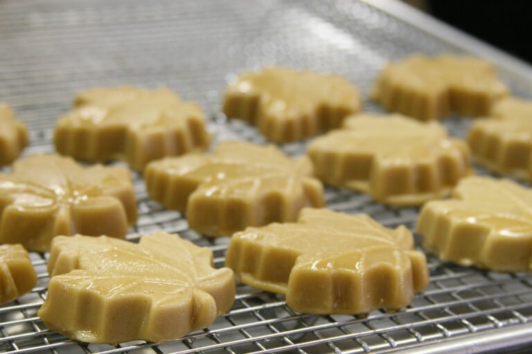 lamothes sugar house tour maple syrup 768x512