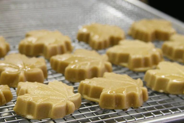 lamothes sugar house tour maple syrup 768x512