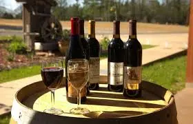 landry vineyards tour