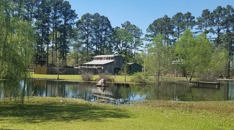 on cloud wine winery tour 768x427