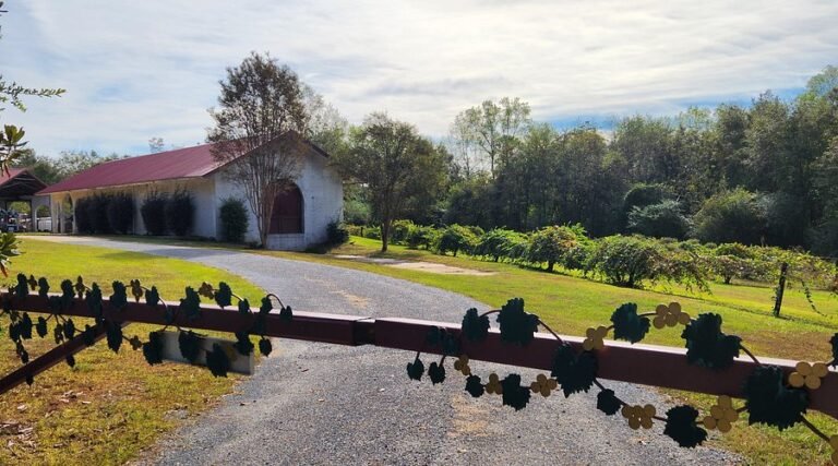 perdido vineyards site tour 768x427