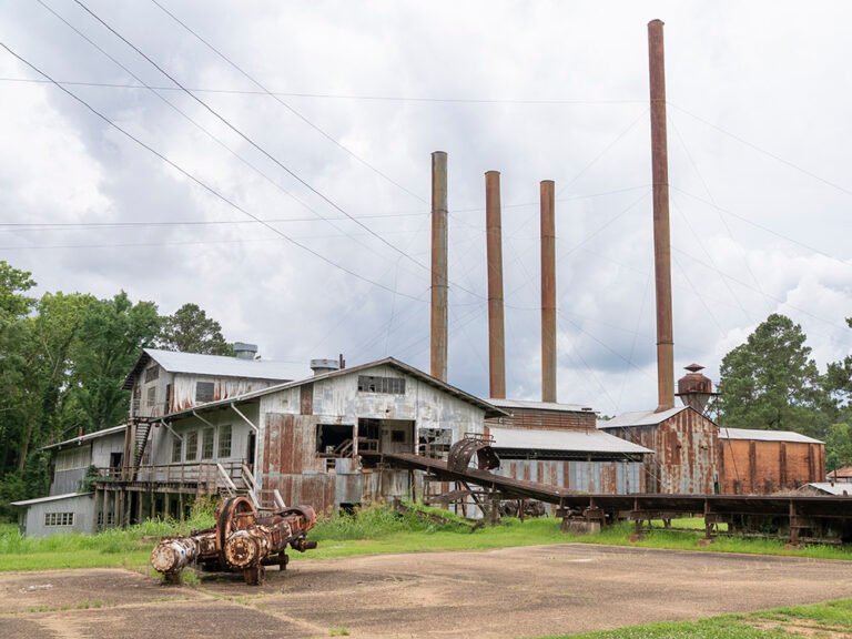 sawmill museum mill town tour 768x576