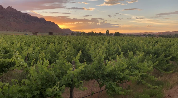 spanish valley winery tour