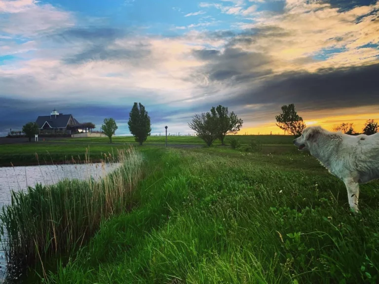 tour gouveia vineyards wallingford 768x576