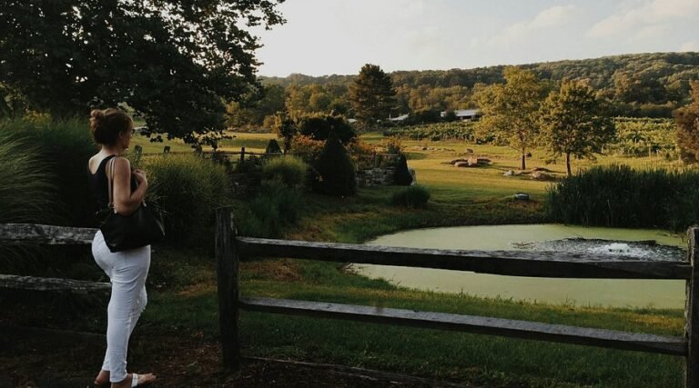 tour hopkins vineyard 768x427