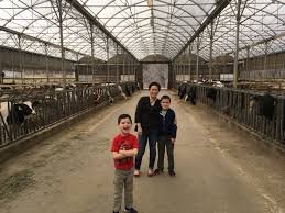 uconn animal barns tour