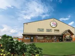 willamette valley pie co tour