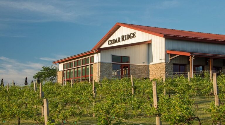 cedar ridge winery visit 768x427