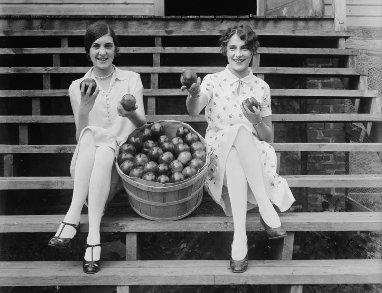 freedoms edge cider production excursion 768x588