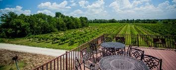 grace hill winery tour kansas