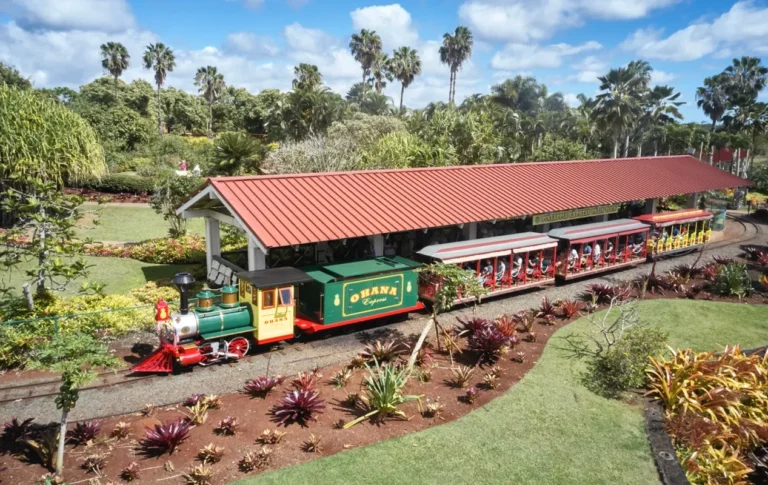 hawaii pineapple express tour dole plantation 768x485