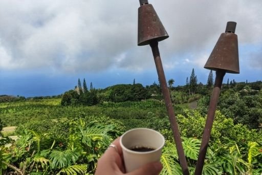 heavenly hawaiian kona coffee tour