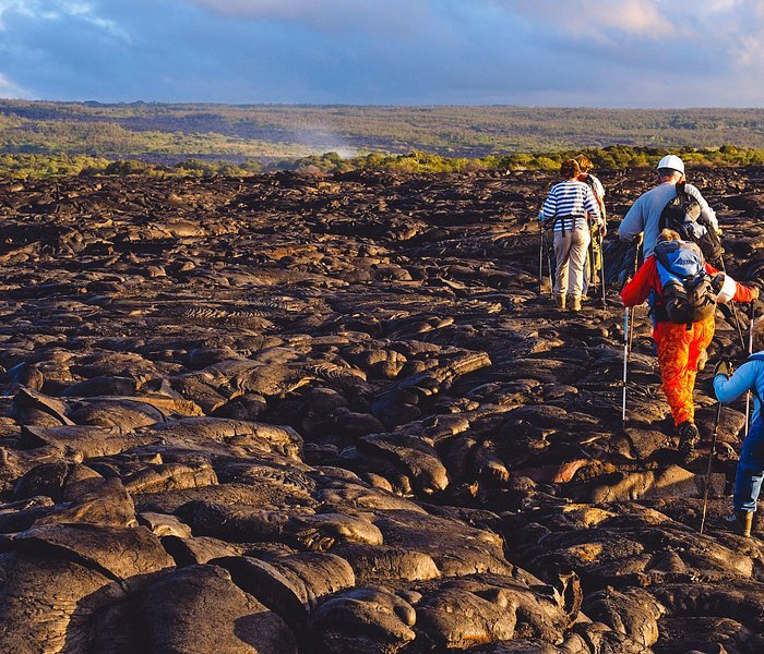 holualoa kona coffee company tour