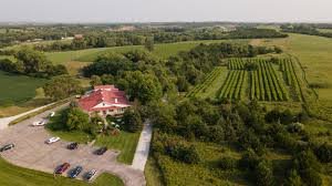 james arthur vineyards site