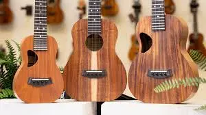 kanilea ukulele tour hawaii