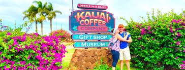 kauai coffee estate walking tour