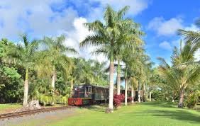 Browse over 900+ USA's unique 20 kauai train tour hawaii