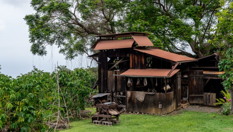 kona coffee living history farm tour 768x437