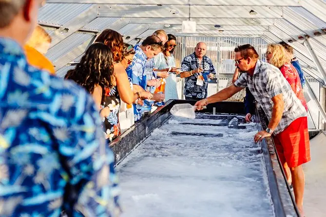 kona salt farm hawaii