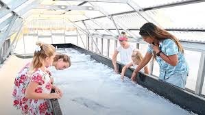 Browse over 900+ USA's unique 13 kona sea salt tour hawaii