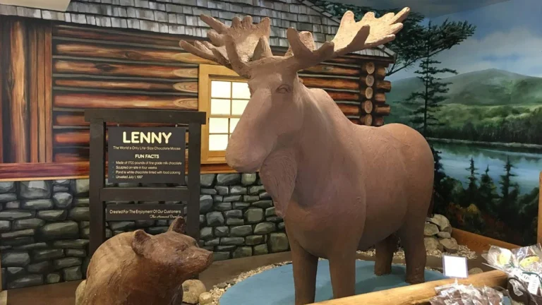 Factory Tours in Maine 4 len libby chocolatier factory visit 768x432