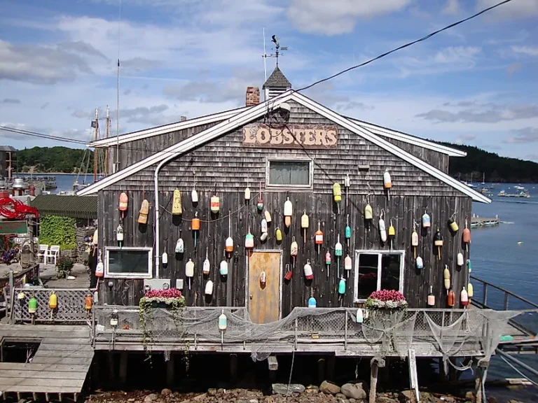 maine lobster museum tour 768x576