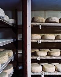 maine state cheese company creamery visit