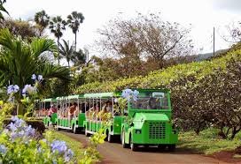 Browse over 900+ USA's unique 15 maui tropical plantation tour hawaii