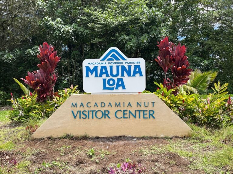 mauna loa macadamia nut visitor center 768x576
