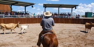 new mexico farm ranch cowbow demonstrations