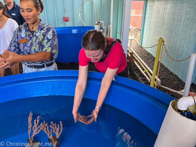 ocean rider seahorse farm tour 768x576