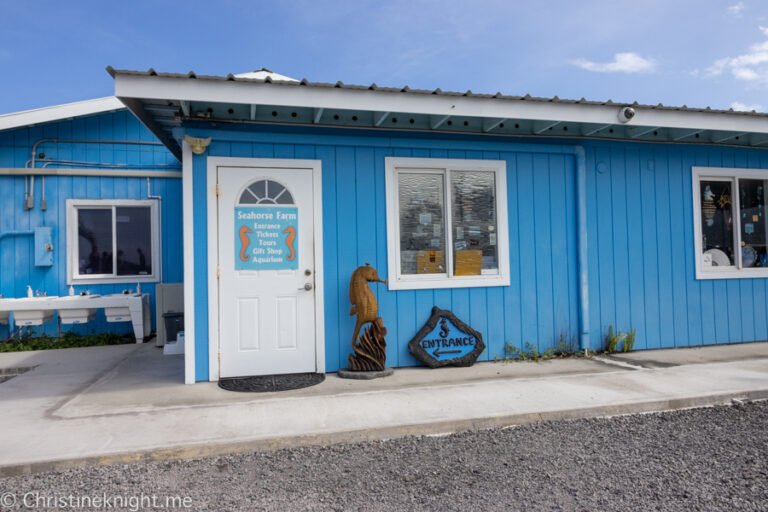 ocean rider seahorse farm tour hawaii 768x512