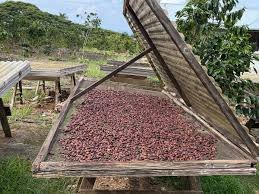 Factory Tours in Hawaii 8 originalhawaiian chocolate factory tour