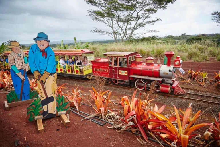 Browse over 900+ USA's unique 1 pineapple express train tour dole plantation hawaii 768x512