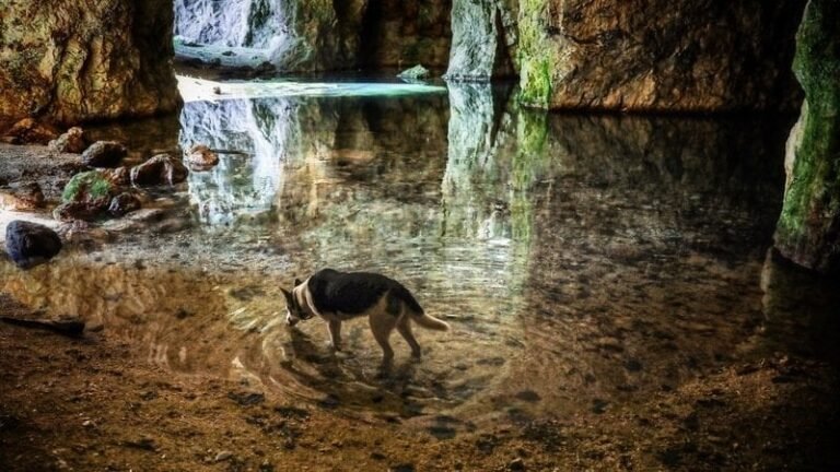 Factory Tours in New Hampshire 3 ruggles mine tour grafton 768x432