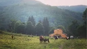 still hollow spirits distillery tour