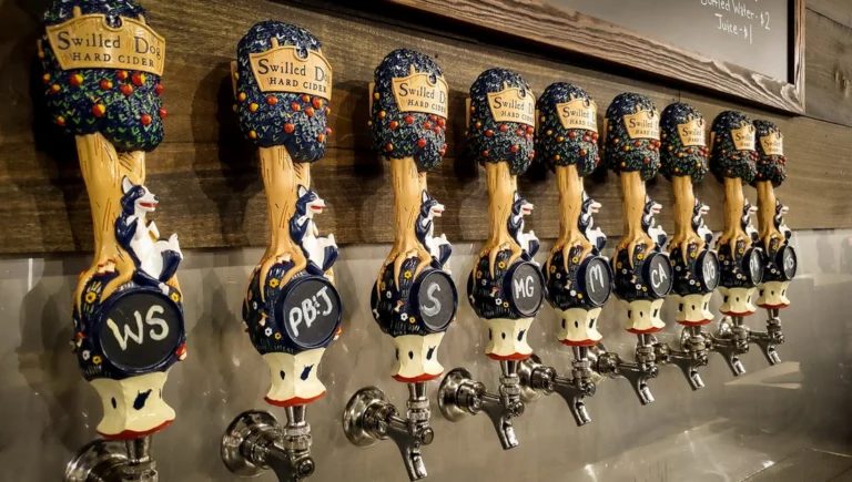 swilled dog cider tasting tour upper tract 768x435