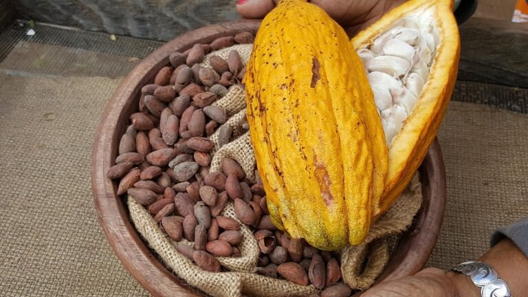 tour maui chocolate coffee kupas farms 768x432