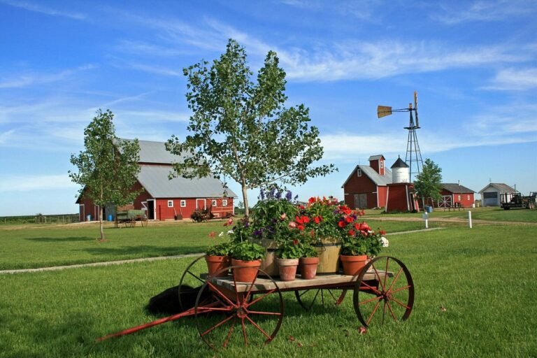 tour wessels living history farm 768x512