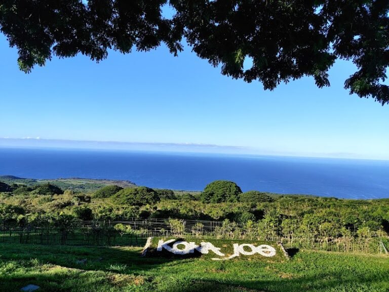 visit kona joe coffee farm hawaii 768x576
