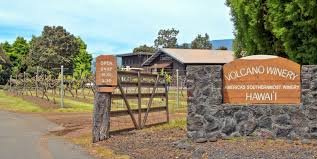 Factory Tours in Hawaii 14 volcano winery tour hawaii