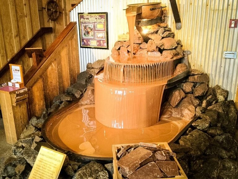 alaska wild berry products candy factory tour 768x576