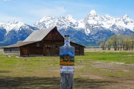 jackson hole still works distillery tour
