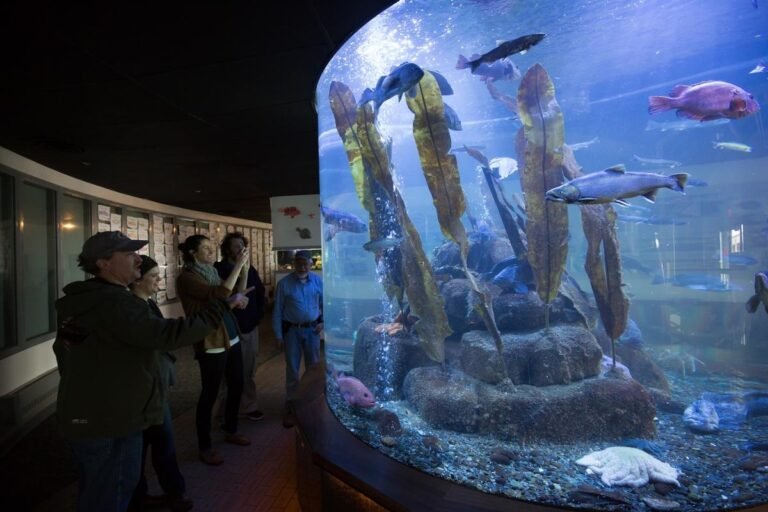 macaulay salmon hatchery DIPAC alaska 768x512