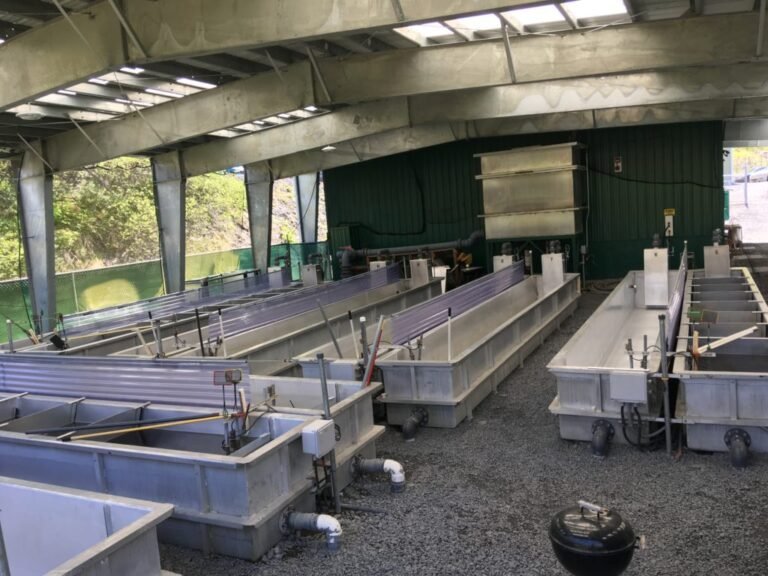 pillar creek hatchery tour 768x576