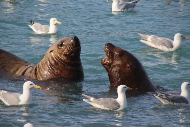solomon gulch fish hatchery tour 768x513