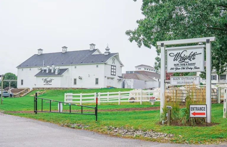 wrights dairy farm bakery tour 768x497